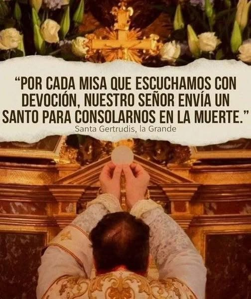 liderSanAlfonso's tweet photo. https://t.co/hvnfWCpo9Y