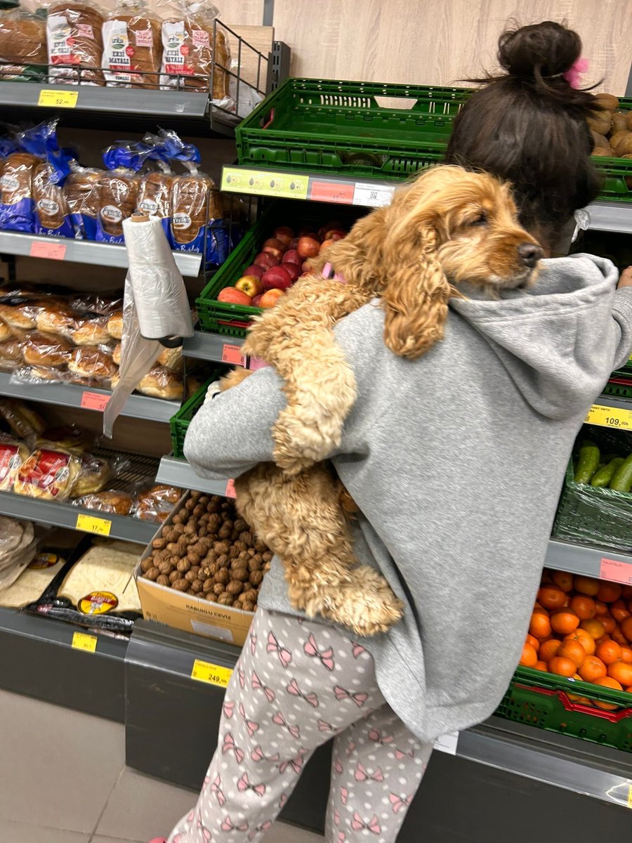 Tüketici Ajansı tweet media