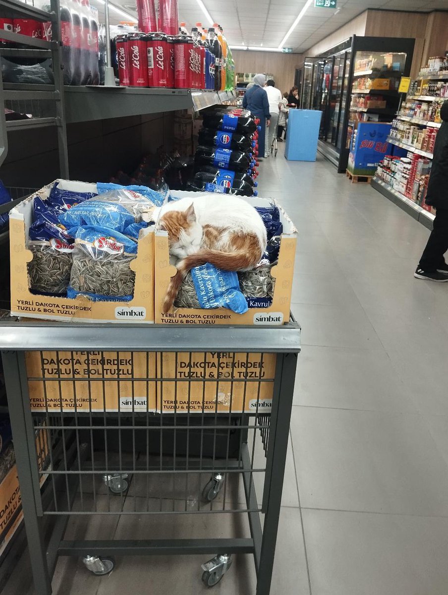 Tüketici Ajansı tweet media