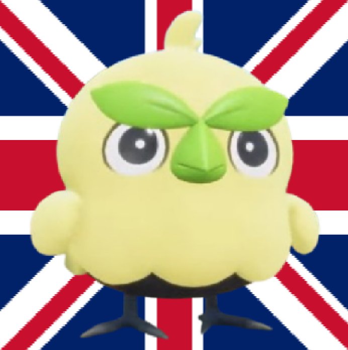 Average British pub goer