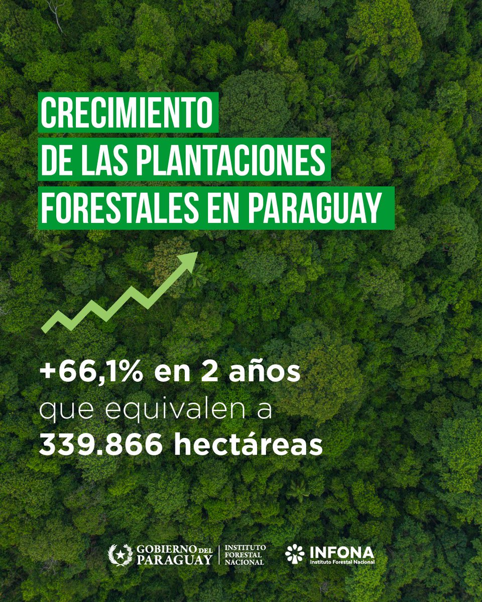 Instituto Forestal Nacional del Paraguay tweet media