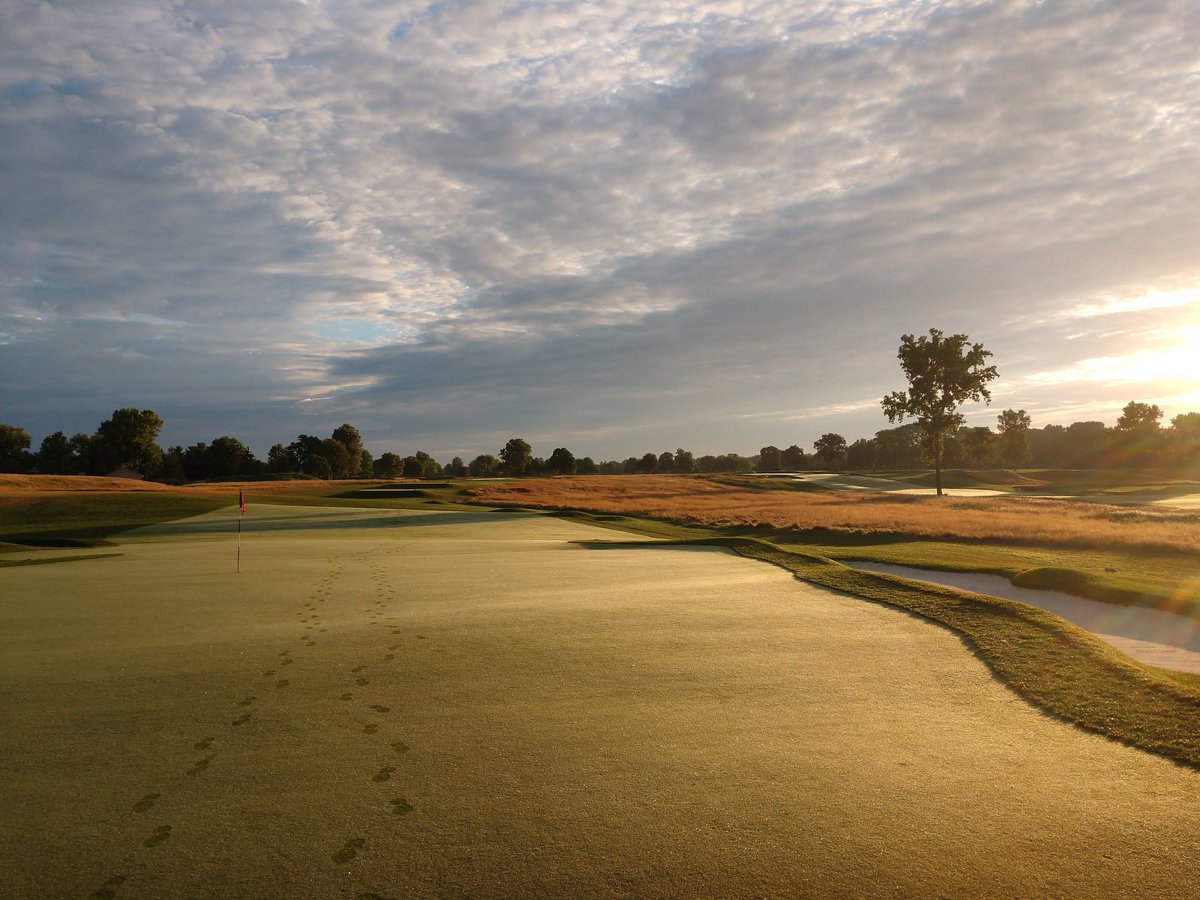 Andrew Green tweet media