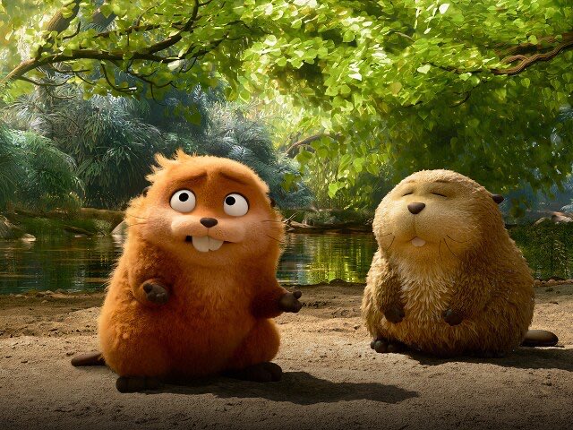 Liam Dearden tweet media