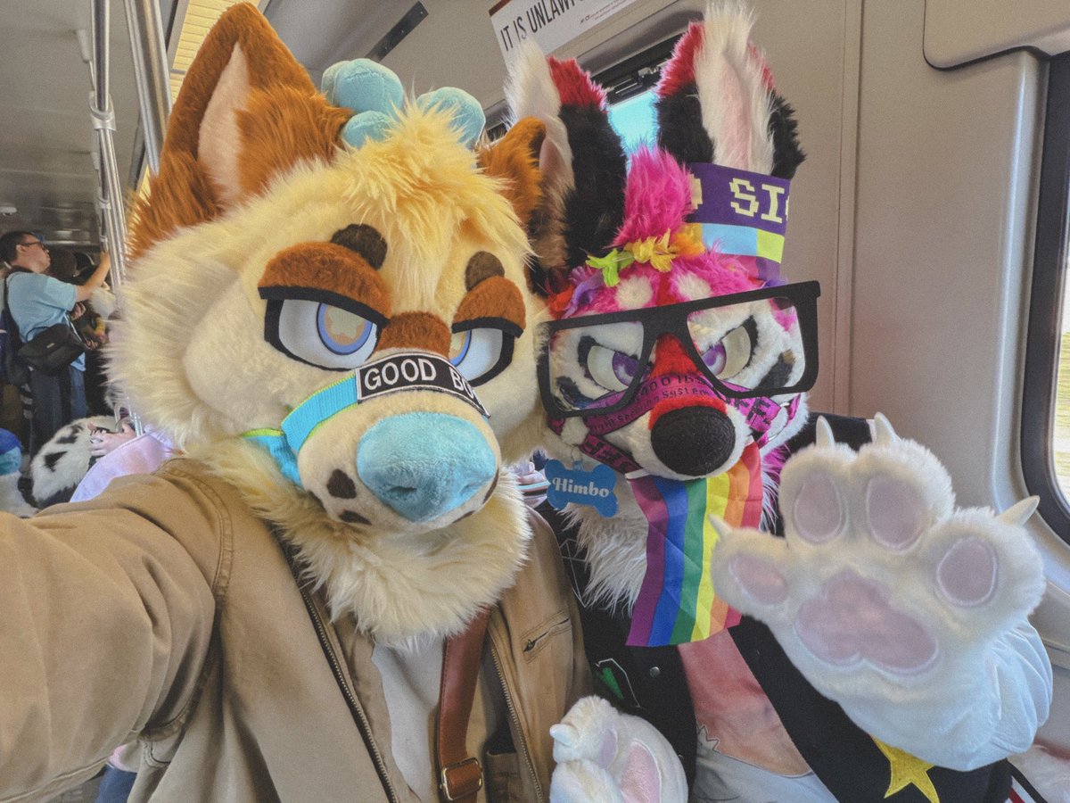 🪴𝙆𝙊𝙁𝙀𝙀🪴 tweet media