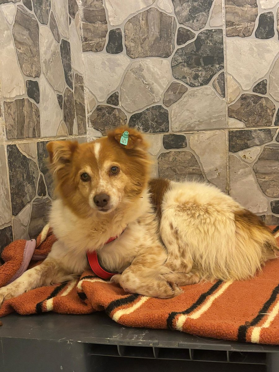 mihav derneği tweet media