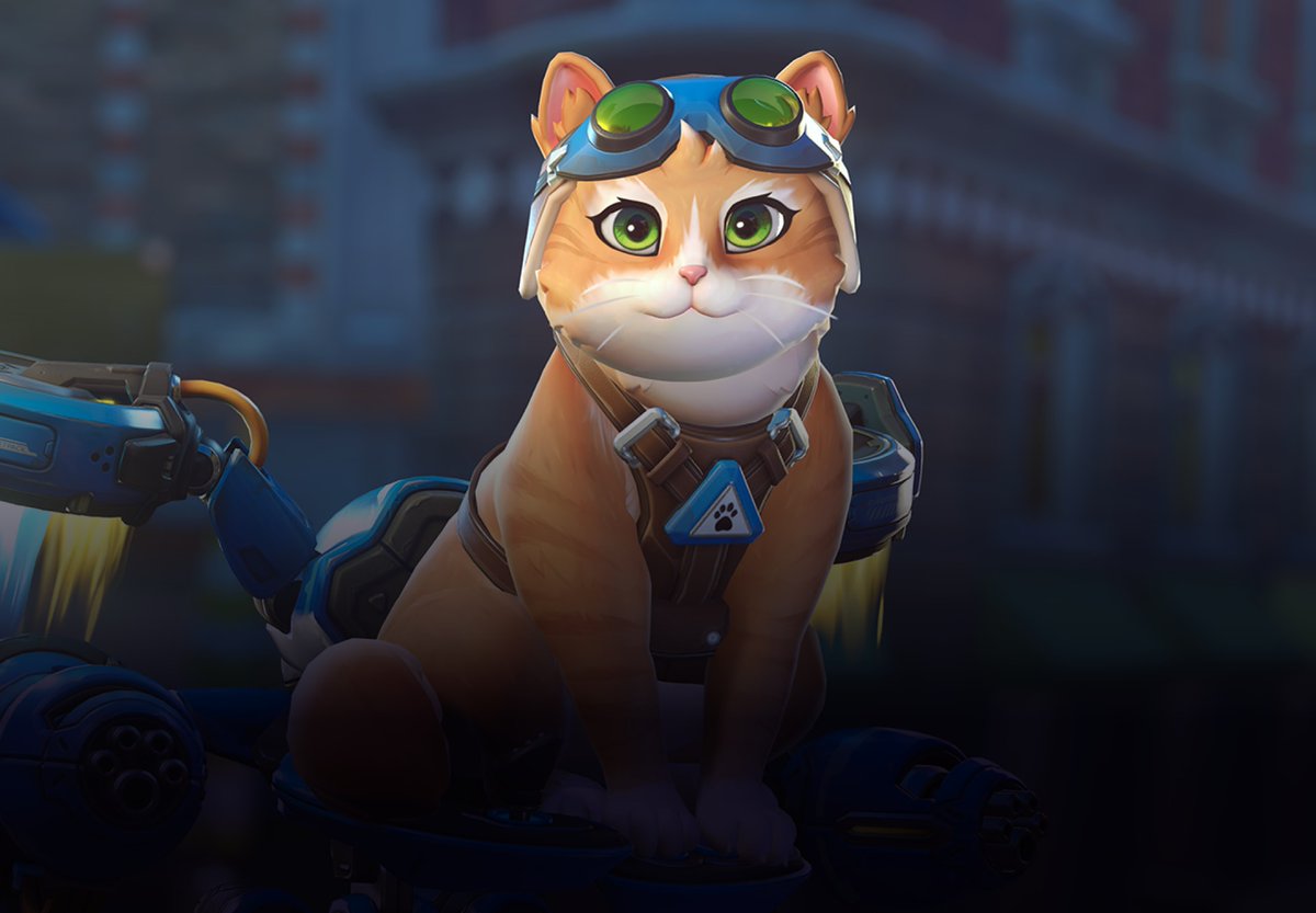 Zeri_26's tweet photo. Espero que Jetpack Cat sea el pod 👀 https://t.co/WqFkkIV643