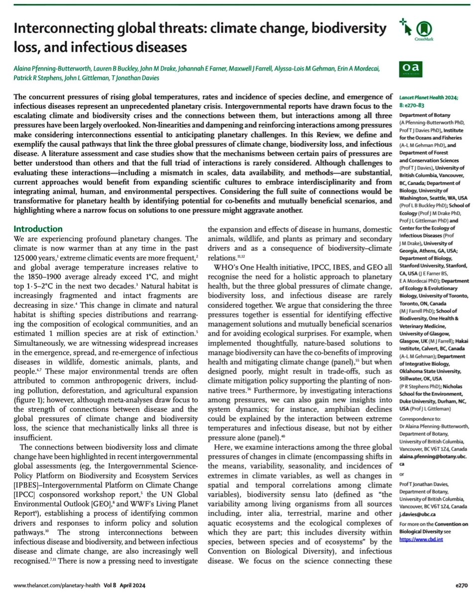 Jose Ramos Vivas tweet media