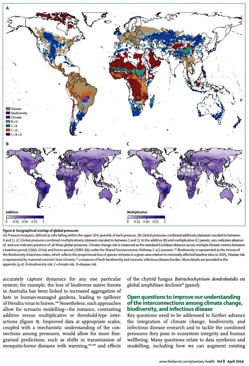 Jose Ramos Vivas tweet media