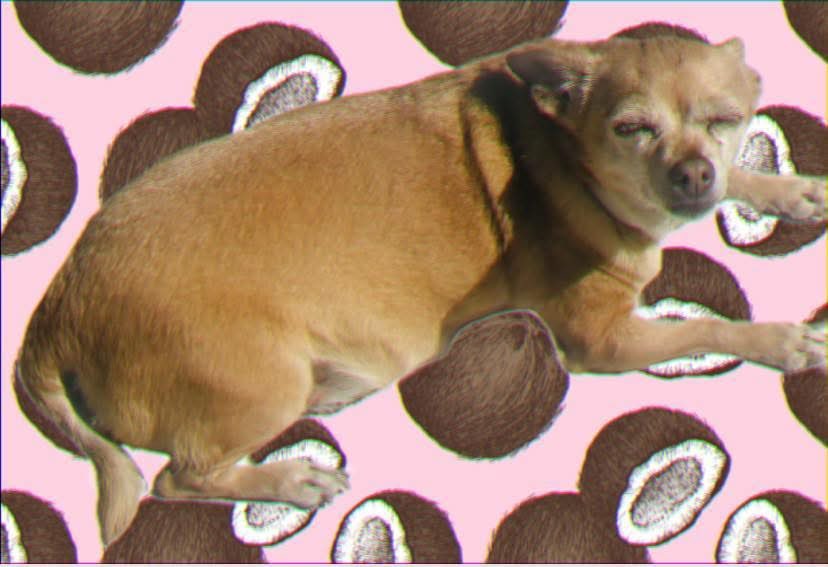 𝒜 𝒟𝒶𝓂𝑒 𝓉𝑜 𝒦𝒾𝓁𝓁 ℱ𝑜𝓇. tweet media