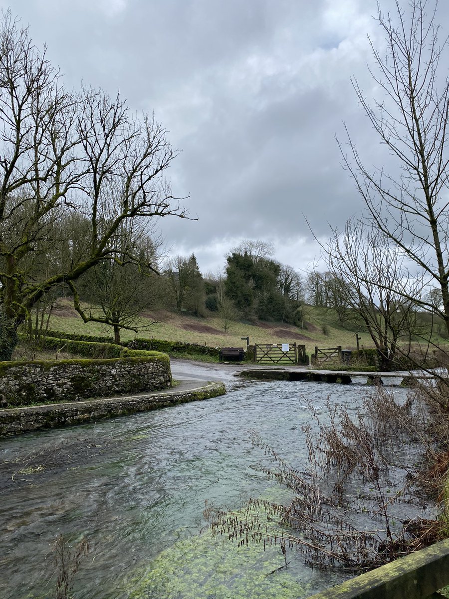 WallaFourteen14 tweet media