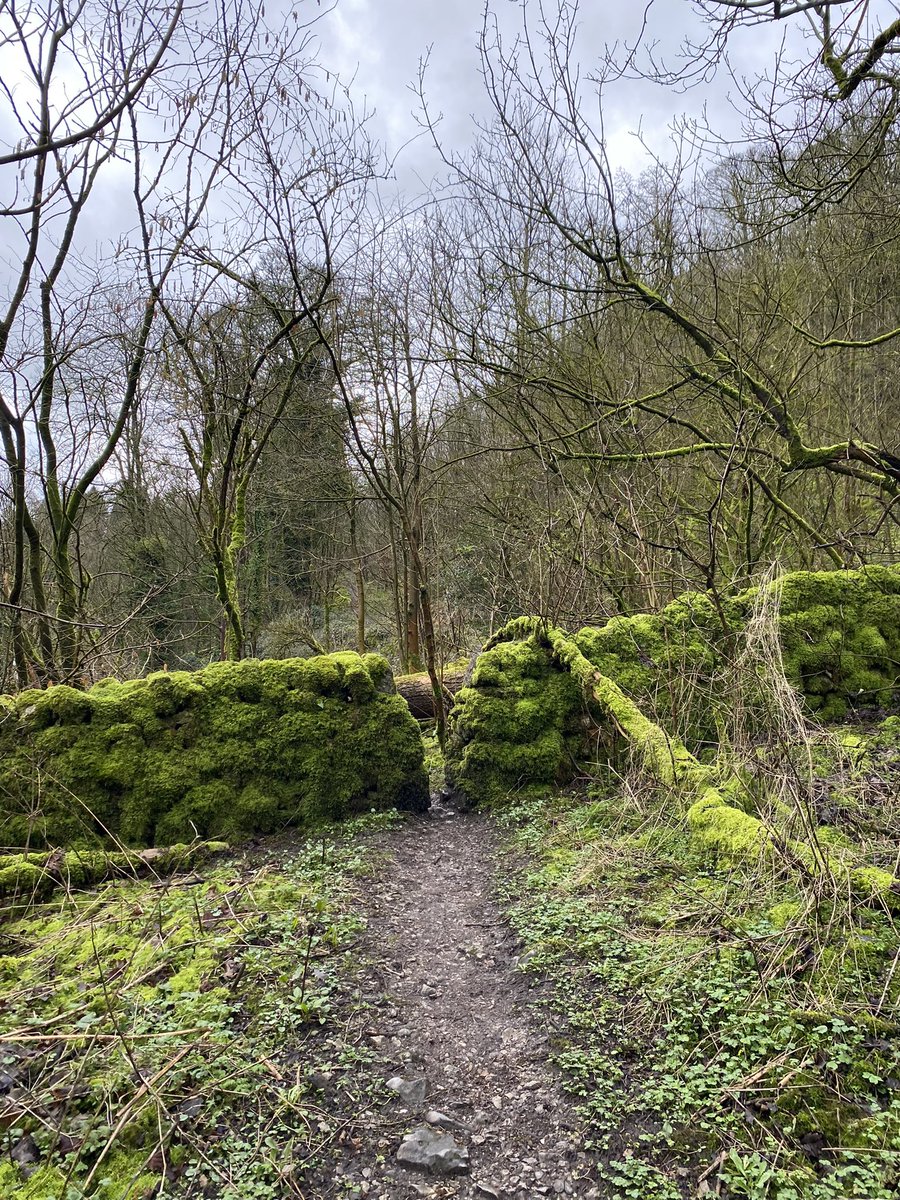 WallaFourteen14 tweet media