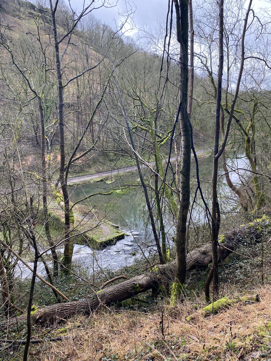 WallaFourteen14 tweet media