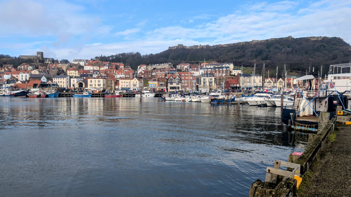 °• Elsa •° tweet media