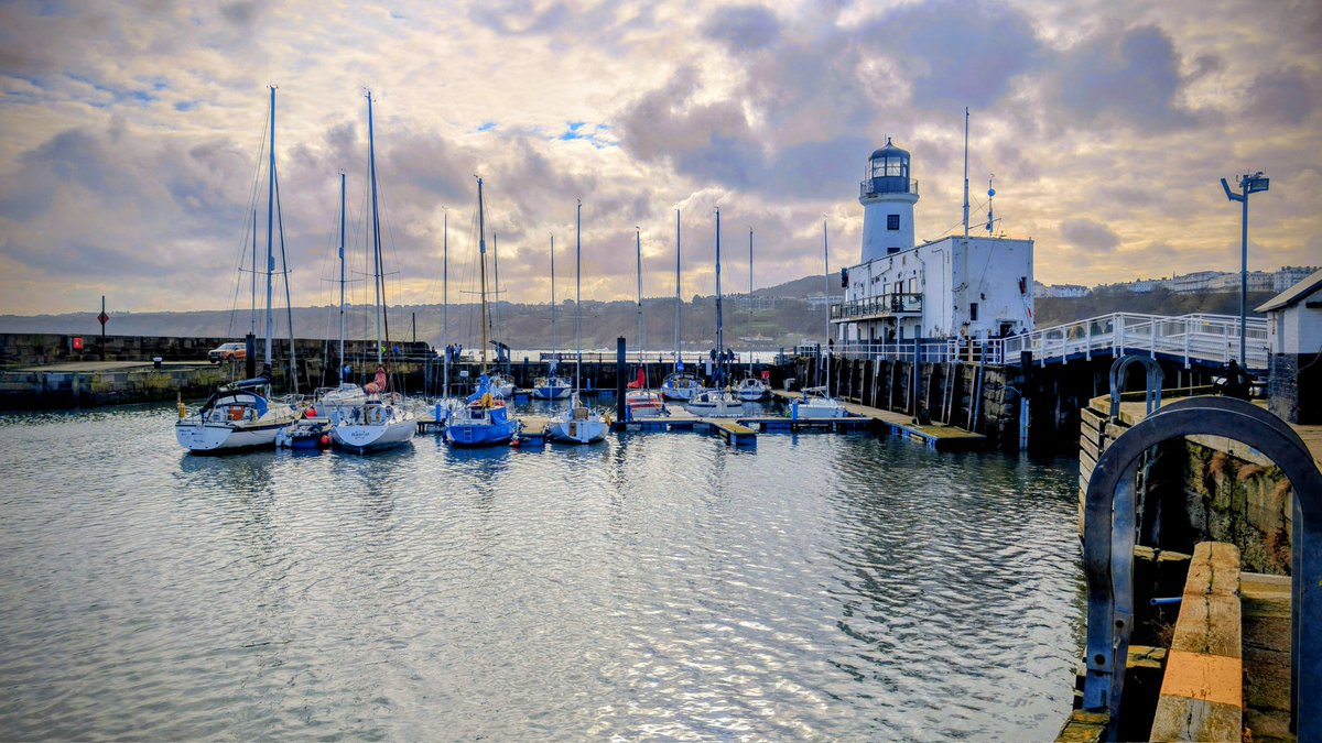 °• Elsa •° tweet media