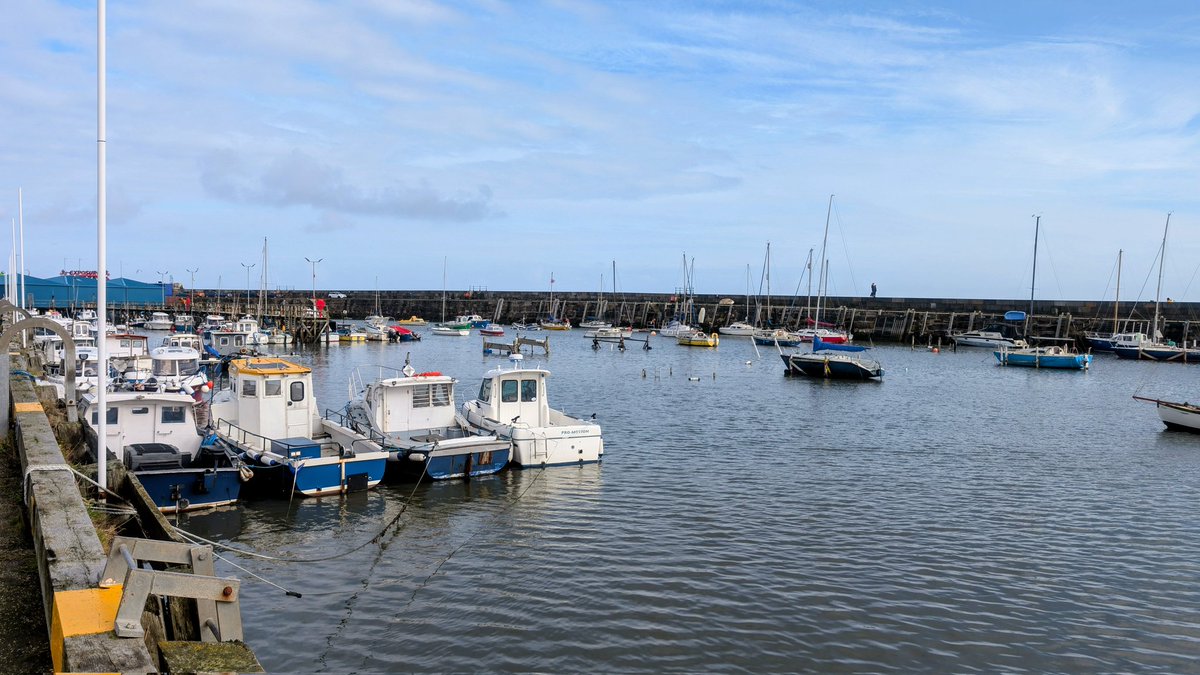 °• Elsa •° tweet media