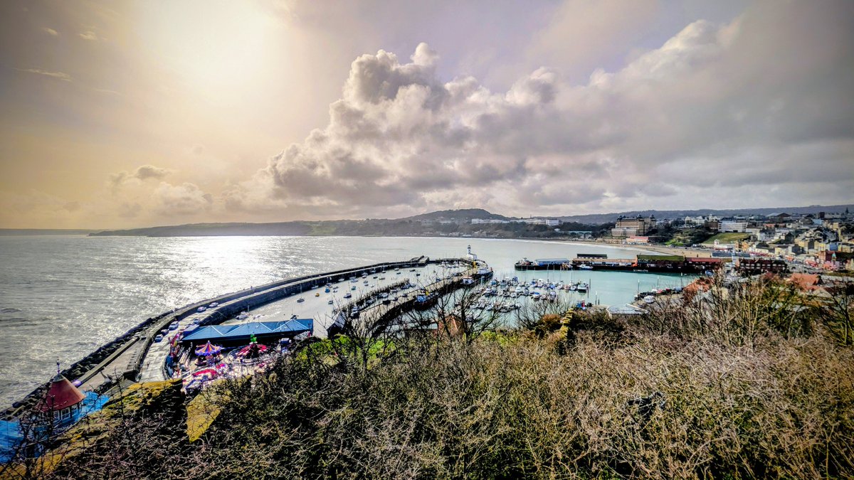 °• Elsa •° tweet media