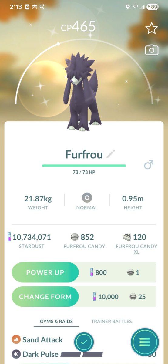 ❄️Rashiira❄️ | Ice Doggo Princess 👑🐕 tweet media