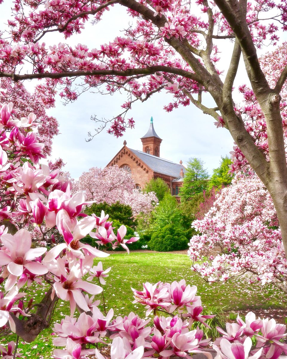 Visit Washington, DC tweet media