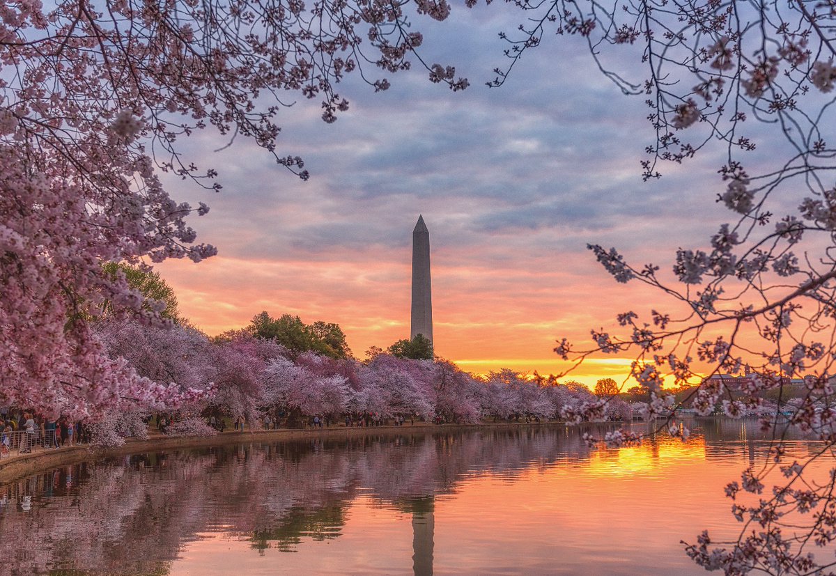 Visit Washington, DC tweet media