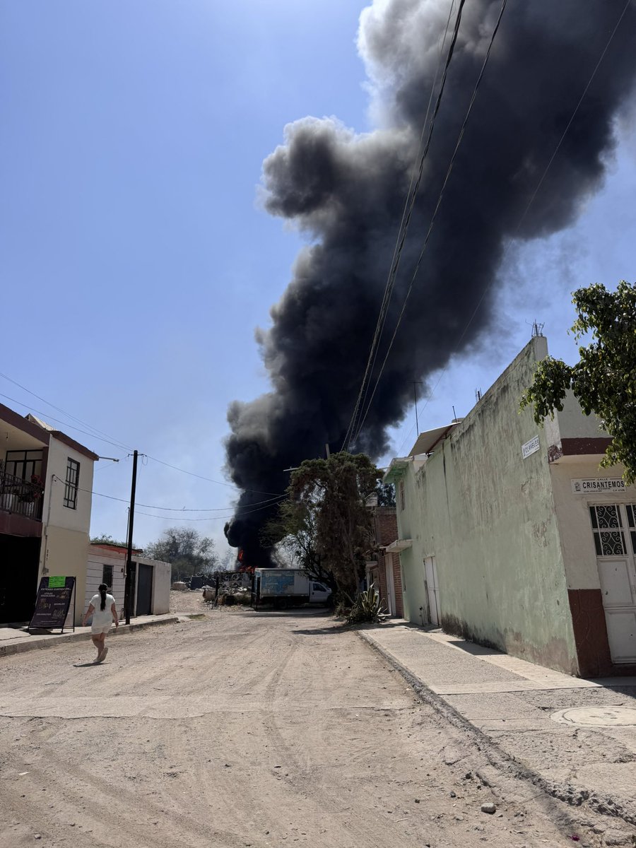 chris mon tweet media