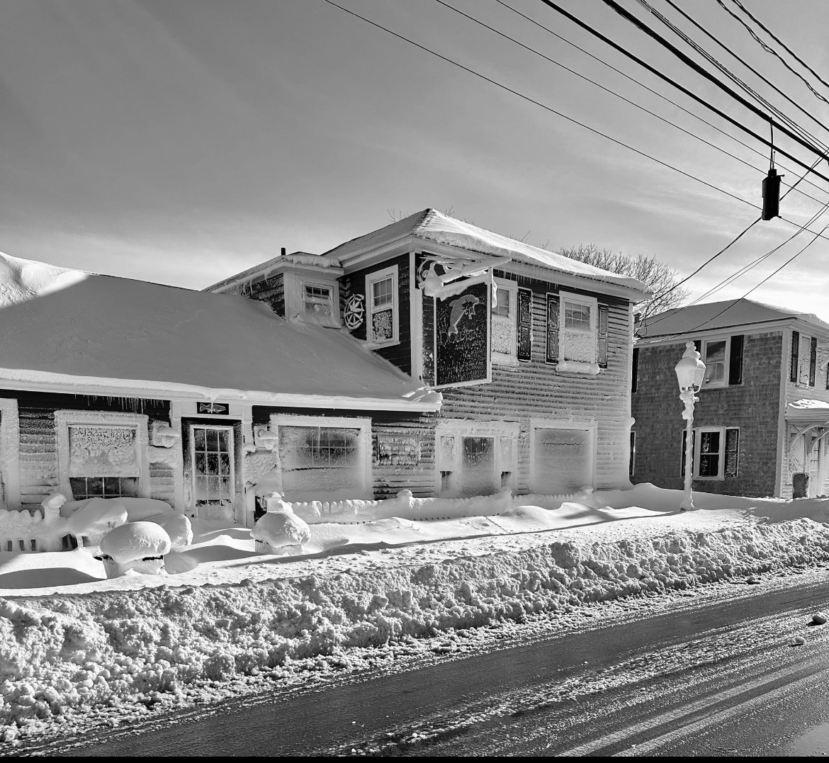 CapeCodBars's tweet image. The Dolphin #BarnstableVillage.

#BlizzardOf26 #CapeCod
(Photo from The Dolphin)