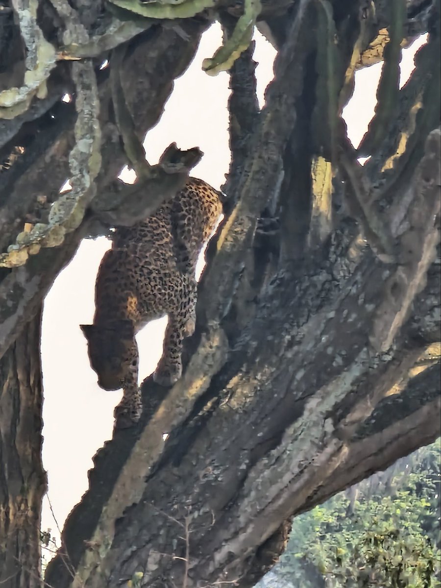 Day 2/3 highlights
Have a good evening and blessed night everyone.

#ExploreUganda
#VisitUganda