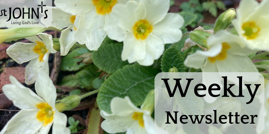 St John's Harpenden tweet media