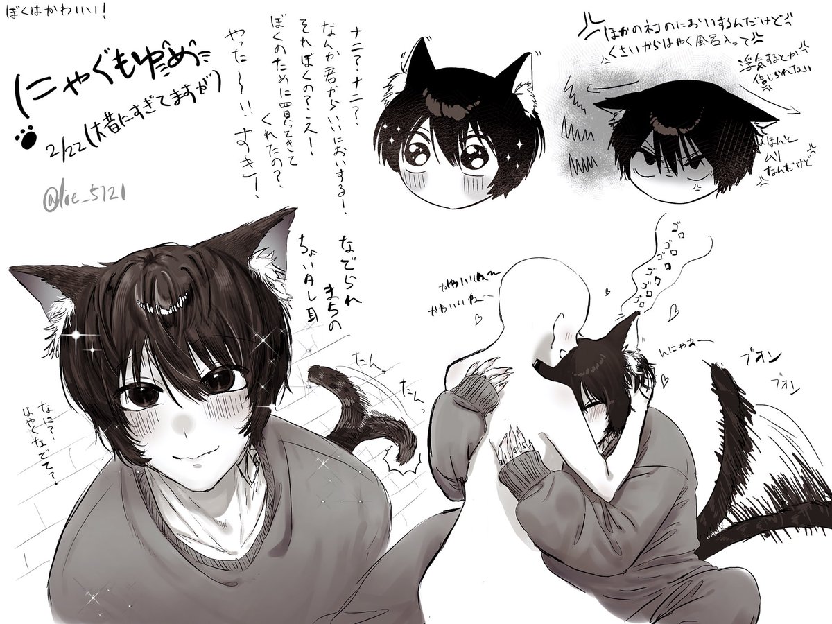 #skmtプラス
飼い猫ngmくん🐈

猫の日大昔に過ぎてますが…すみません…