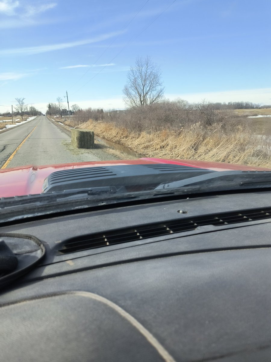 Joshua Burrows tweet media