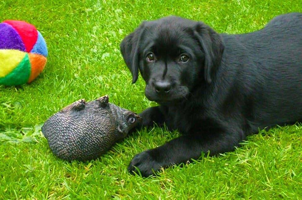 Carmel Wake tweet media