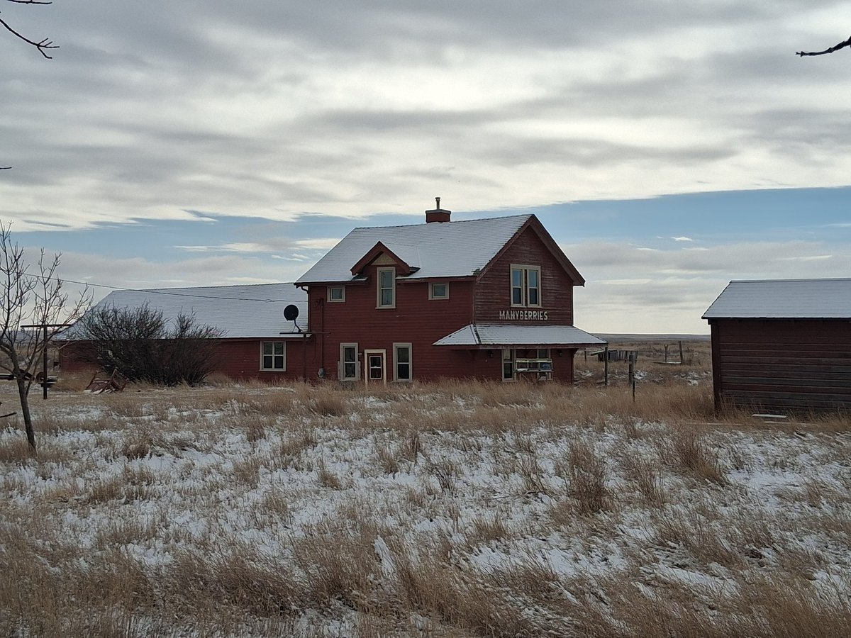 Cory Morgan tweet media