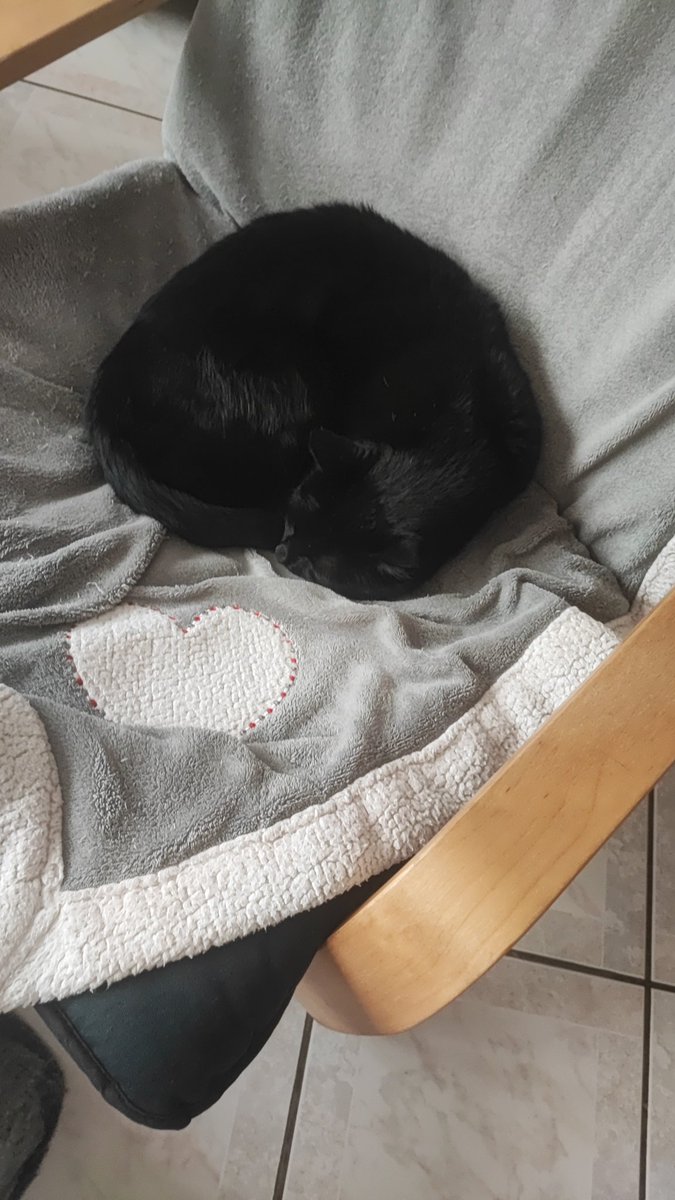 blacwidow tweet media