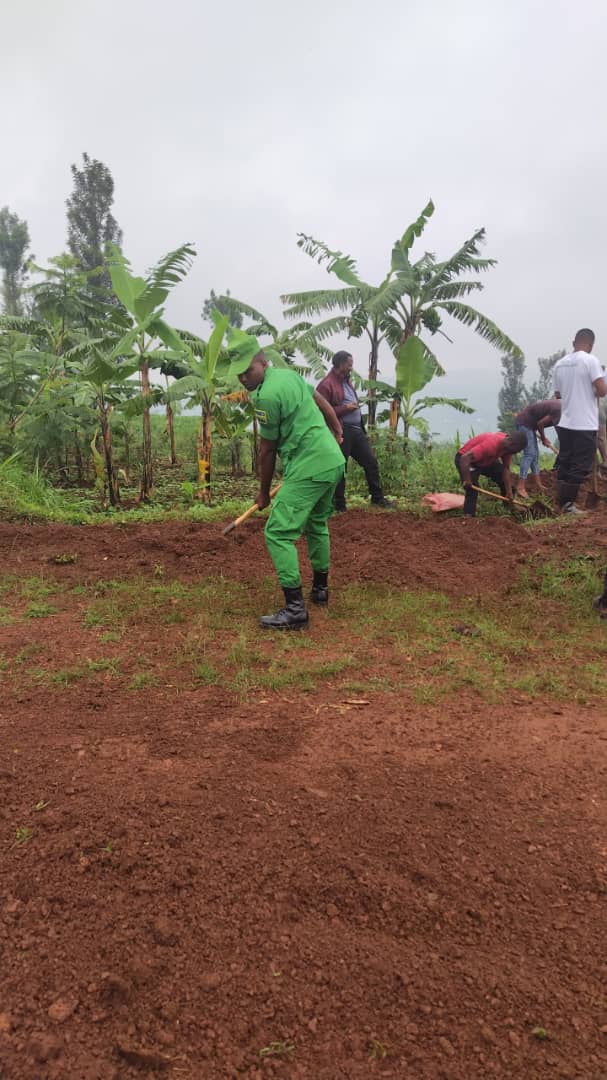 Rutunga Sector tweet media