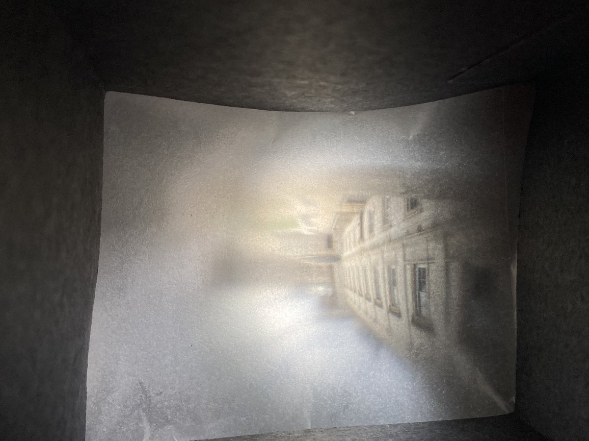 Ms Dempsey tweet media