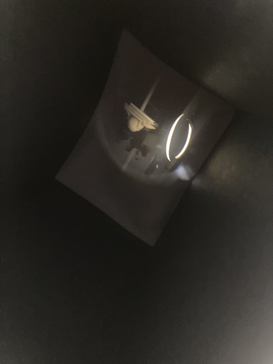 Ms Dempsey tweet media