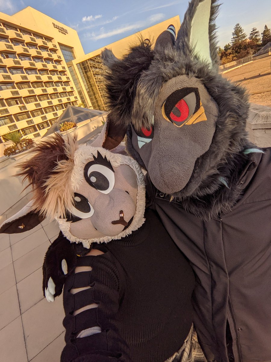 Maple/Bailey tweet media