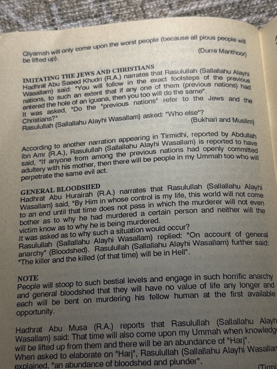 a 🇵🇸 tweet media