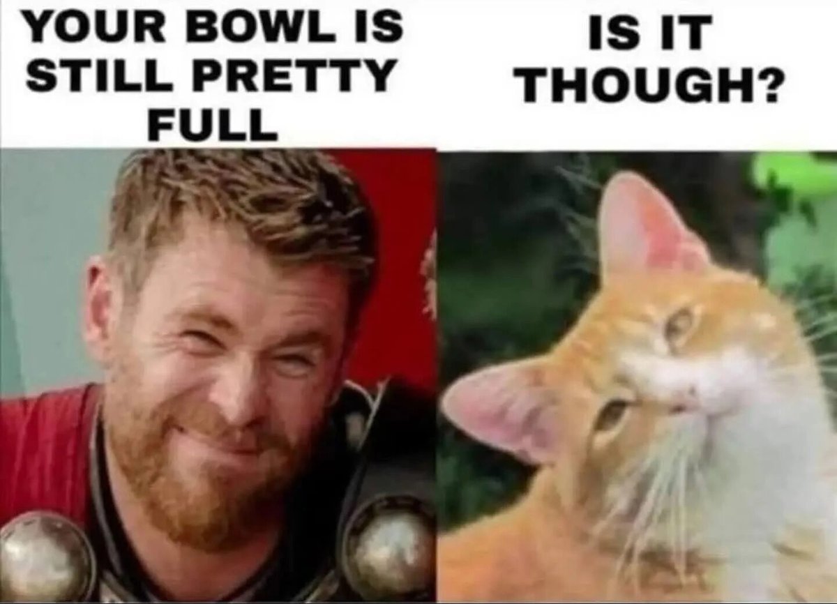 WholesomeMeme's tweet photo. https://t.co/HMHqYuJqRZ