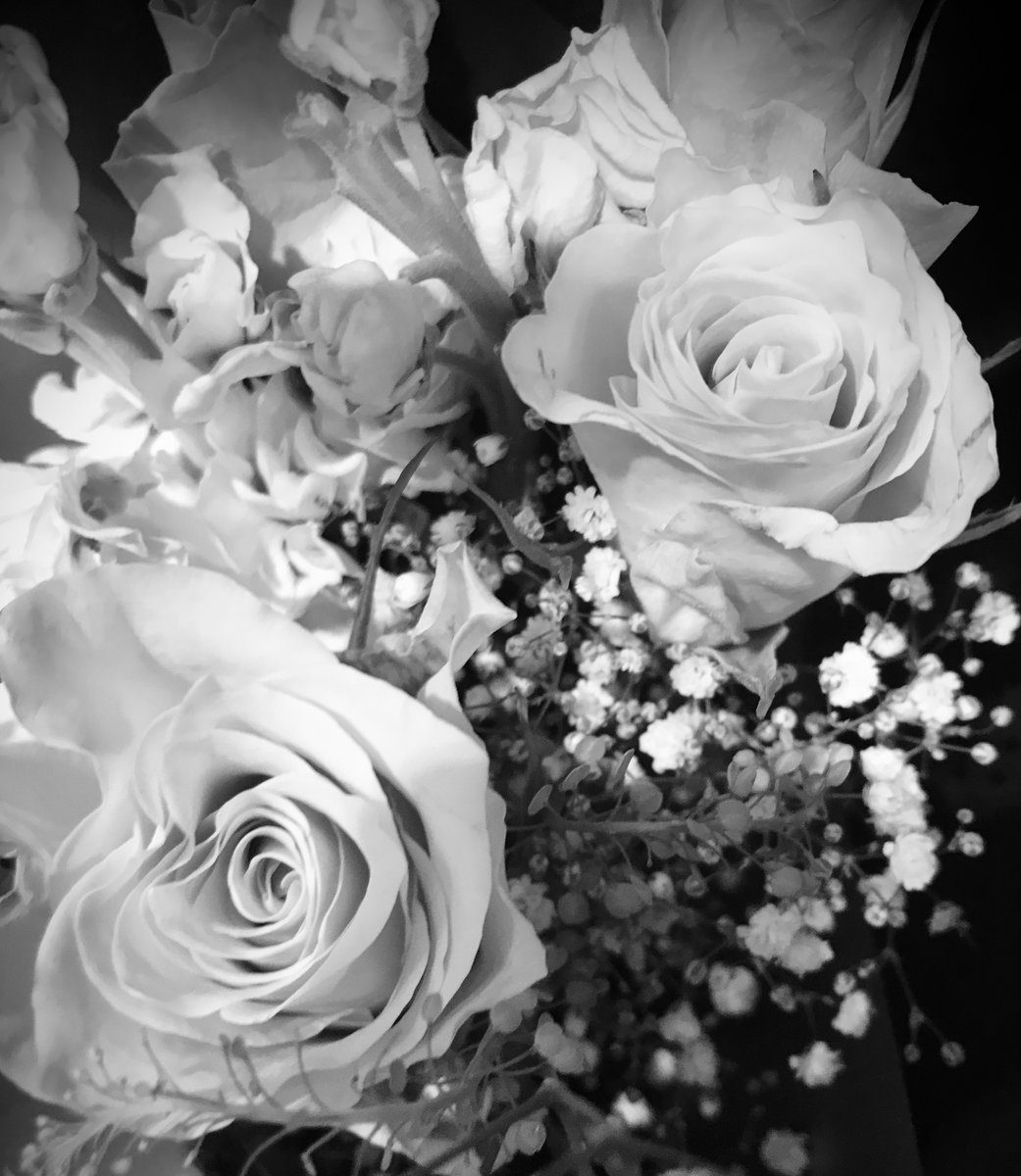 .

“A flower blossoms for its own joy.”

― Oscar Wilde
.

🩶

My roses