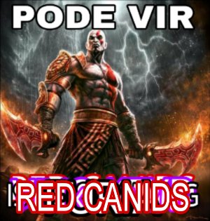 LOUD 🇧🇷 tweet media