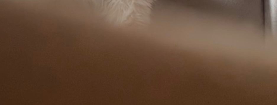 ᷂نجد tweet media