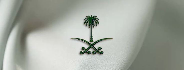 snsn__2's tweet photo. ﴿ رَبِّ اجْعَلْ هَٰذَا الْبَلَدَ آمِنًا ﴾ 🇸🇦 https://t.co/ekQZbcmT3j