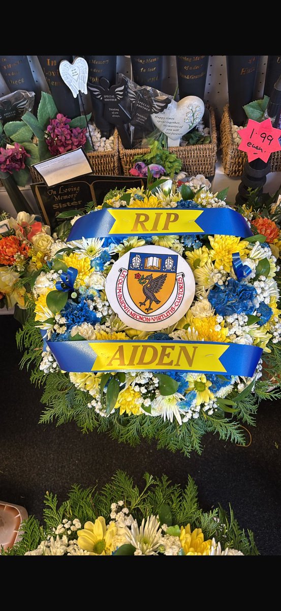 Collegiate vets 35s tweet media