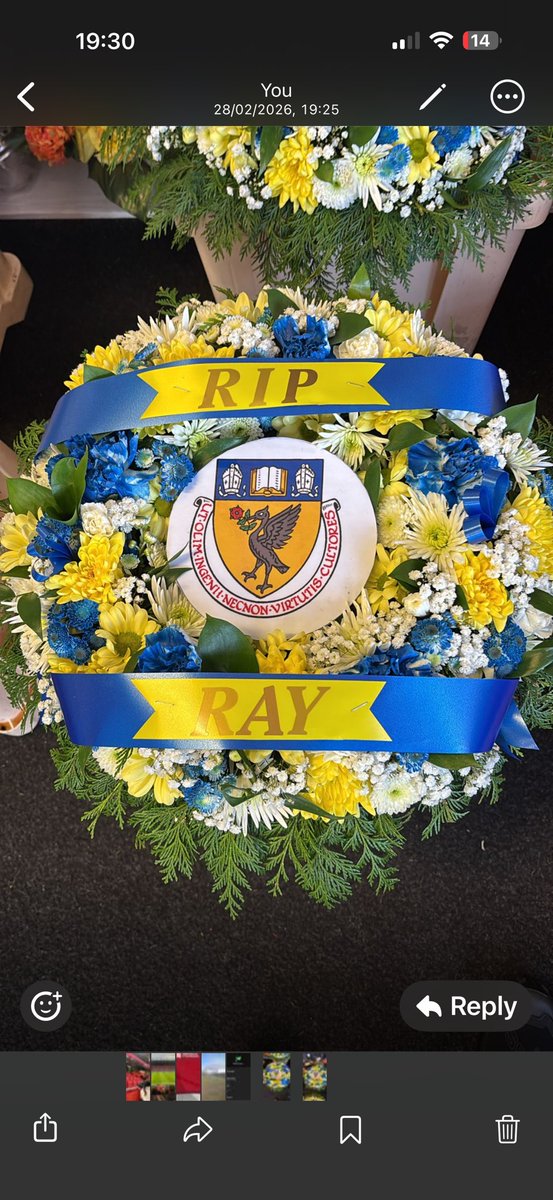 Collegiate vets 35s tweet media