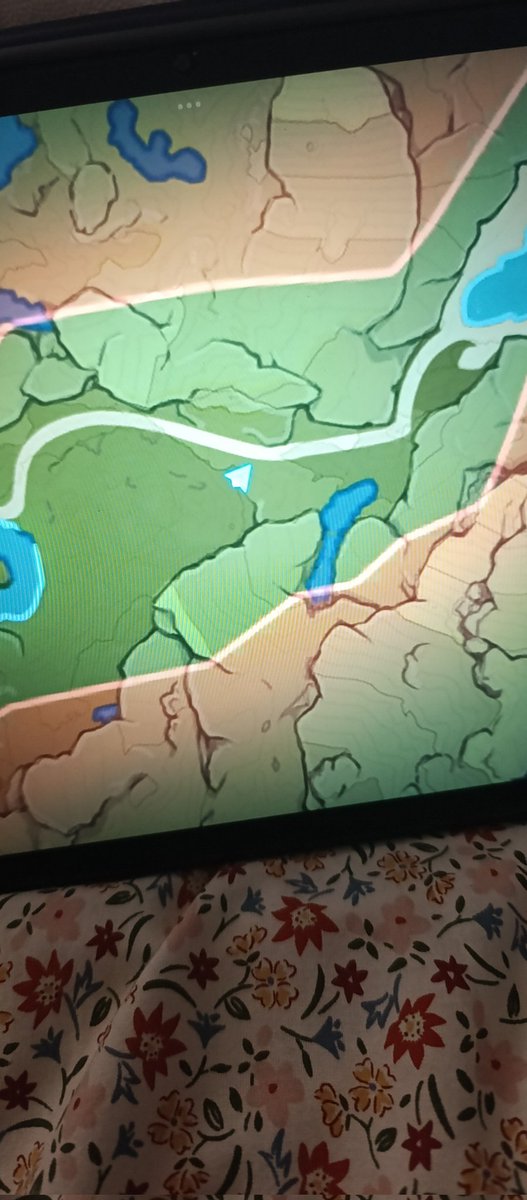 Nicole Reeyn✨ tweet media