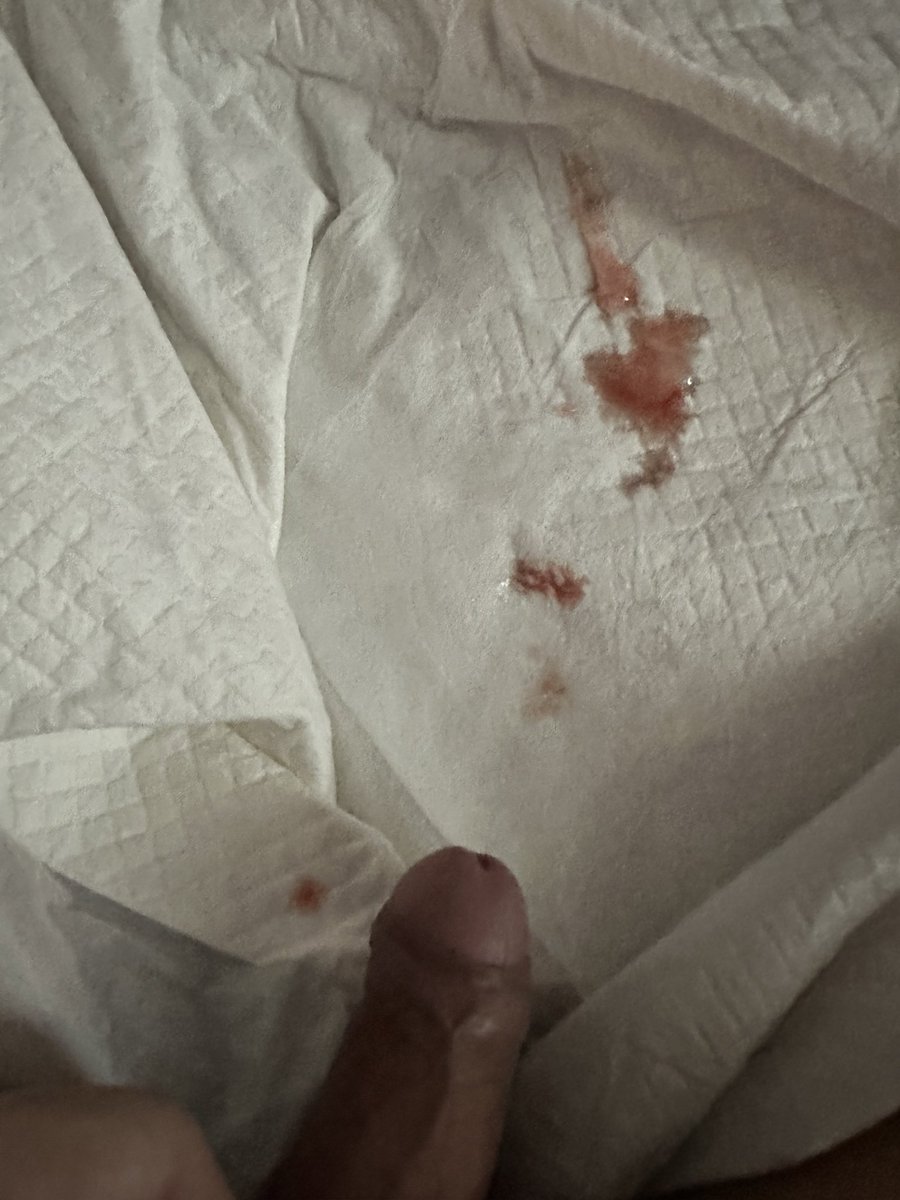 白羊(曼谷泼水11-16) tweet media