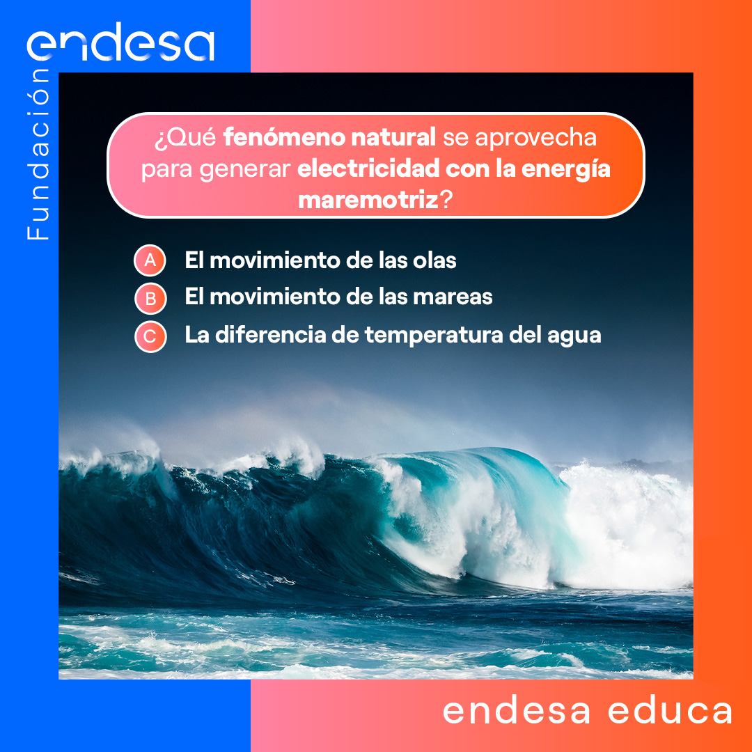 Endesa Educa tweet media