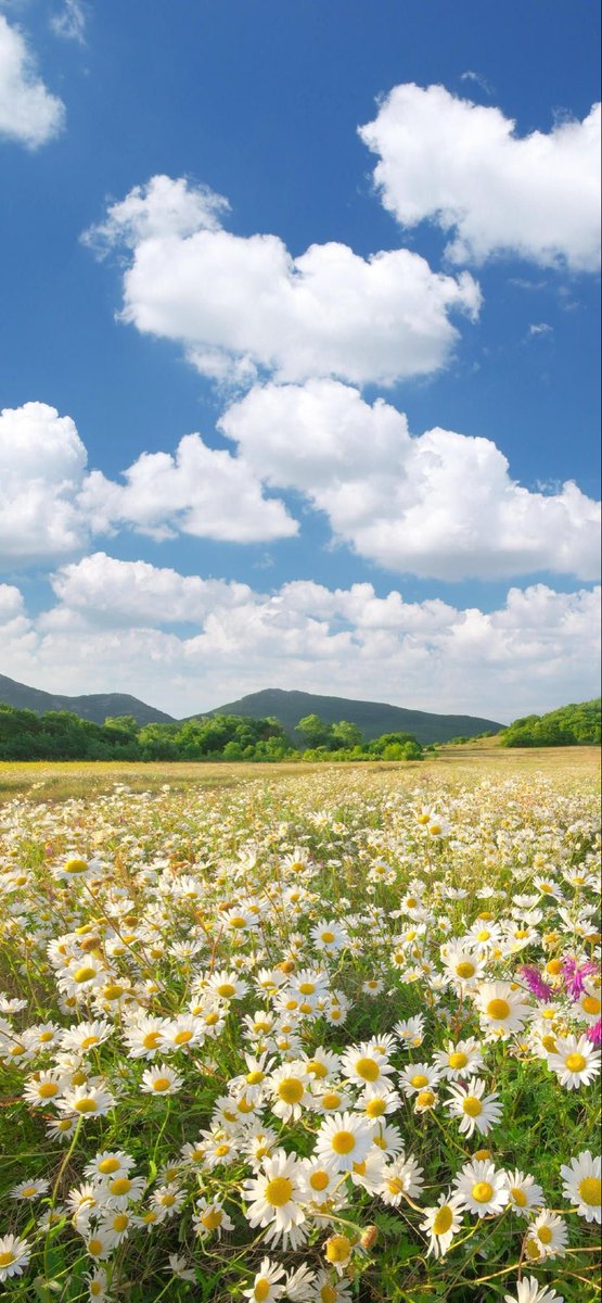 landspace tweet media