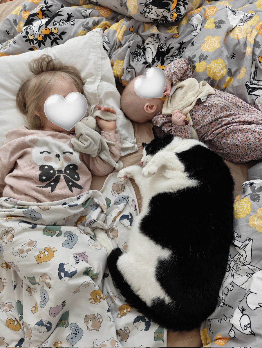 Girlies napping with the big Big cat