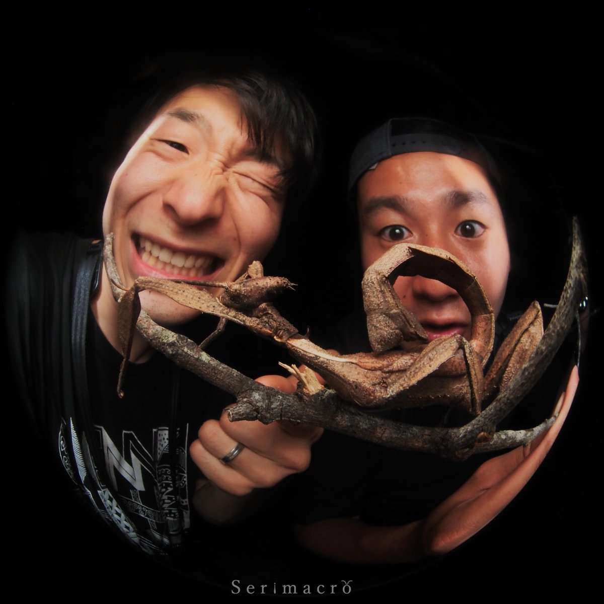 2026.2.25 Brisbane🇦🇺

念願の野生ユウレイヒレアシナナフシ(𝐸𝑥𝑡𝑎𝑡𝑜𝑠𝑜𝑚𝑎 𝑡𝑖𝑎𝑟𝑎𝑡𝑢𝑚)と自撮り！

一緒に探してくれたスバル君に感謝！